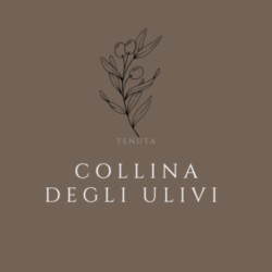 tenuta collina degli ulivi